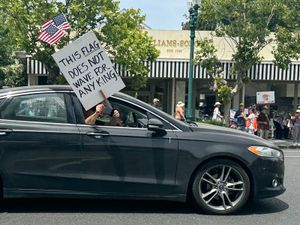 What to make of the "No Kings" protests