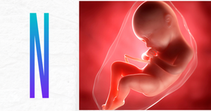 Forget politics: What does the Bible teach on the issue of abortion?