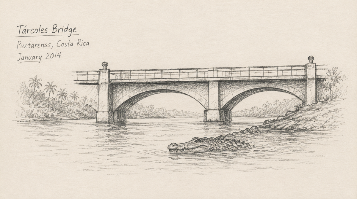 Tárcoles Bridge — Crocodile Territory
