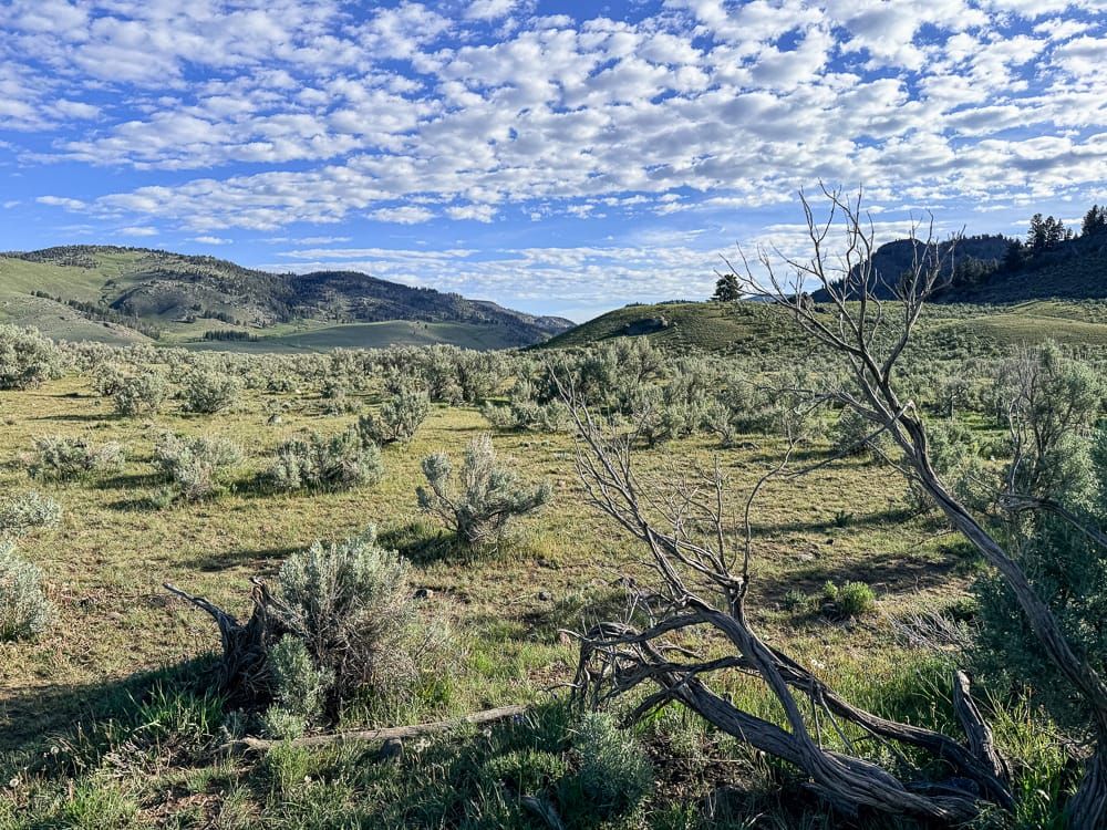 Yellowstone: Somewhere Along the Way