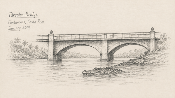 Tárcoles Bridge — Crocodile Territory