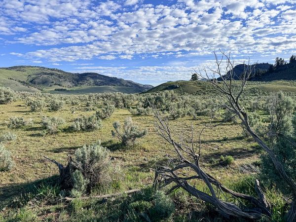 Yellowstone: Somewhere Along the Way