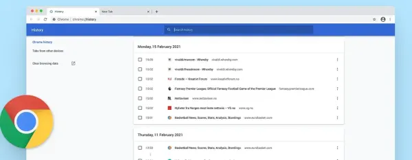 Browser History Cleared of Wrongdoing