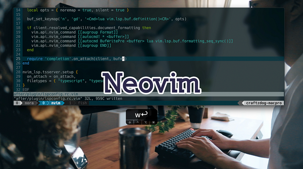 How to set up Neovim 0.5 + Modern plugins (LSP, Treesitter, Fuzzy finder, etc)