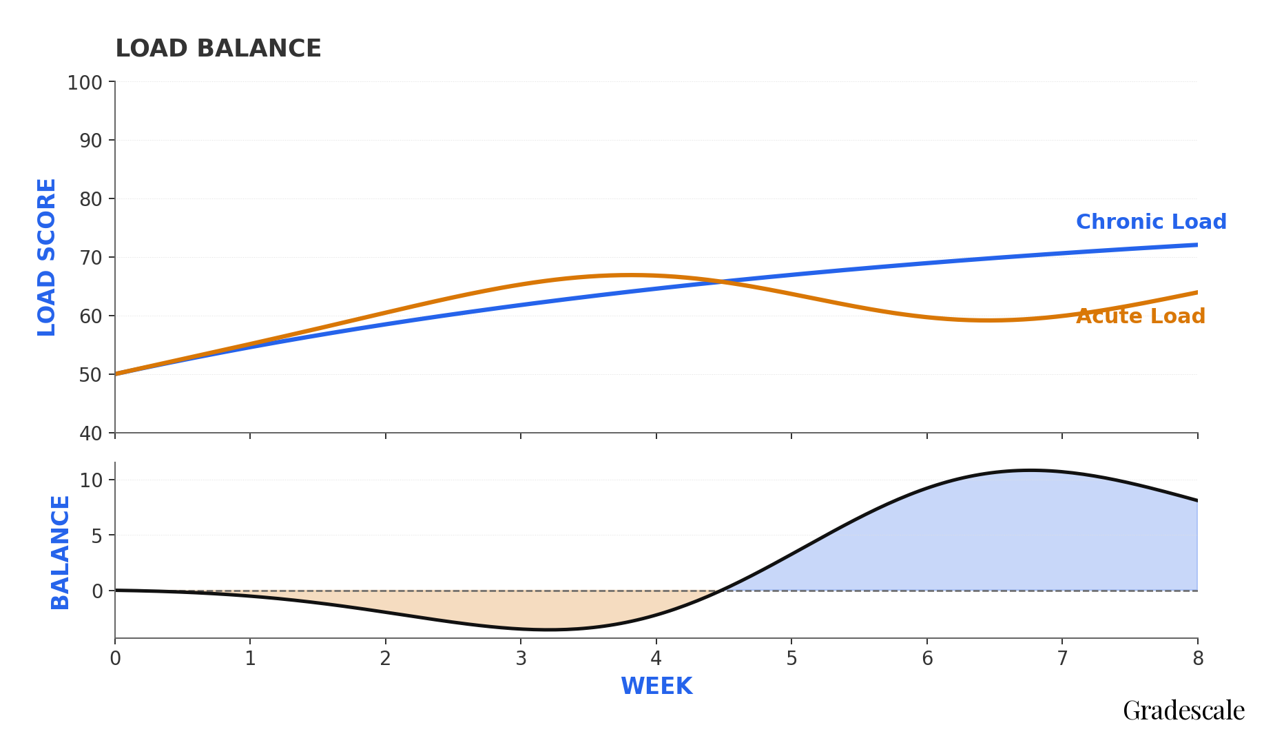 #Entry 031: Load Balance, Decoded: What Tomorrow's Workout Should Actually Look Like