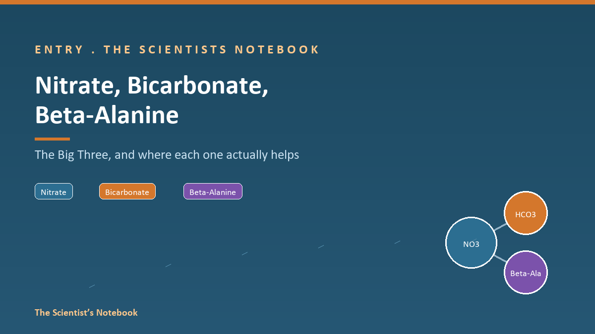 Entry #036: Nitrate, Bicarbonate, Beta-Alanine: The Big Three, and Where Each One Actually Helps