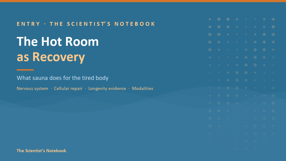 Entry #033: The Hot Room as Recovery: What Sauna Does for the Tired Body