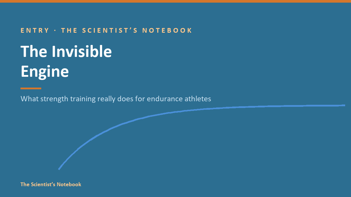 Entry #042: The Invisible Engine: What Strength Training Really Does for Endurance Athletes