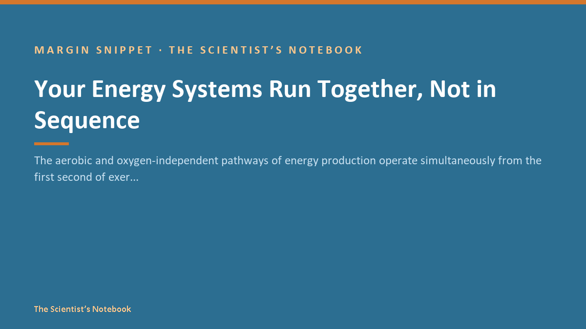 Snippet #027: Your Energy Systems Run Together, Not in Sequence