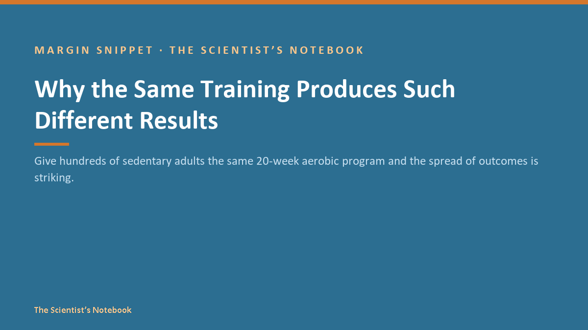 Snippet #040: Why the Same Training Produces Such Different Results
