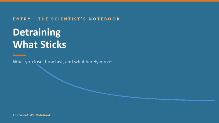 Entry #044: Detraining: What You Lose, How Fast, and What Sticks