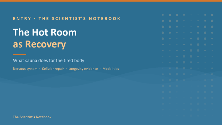 Entry #033: The Hot Room as Recovery: What Sauna Does for the Tired Body