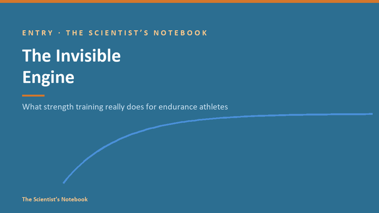 Entry #042: The Invisible Engine: What Strength Training Really Does for Endurance Athletes