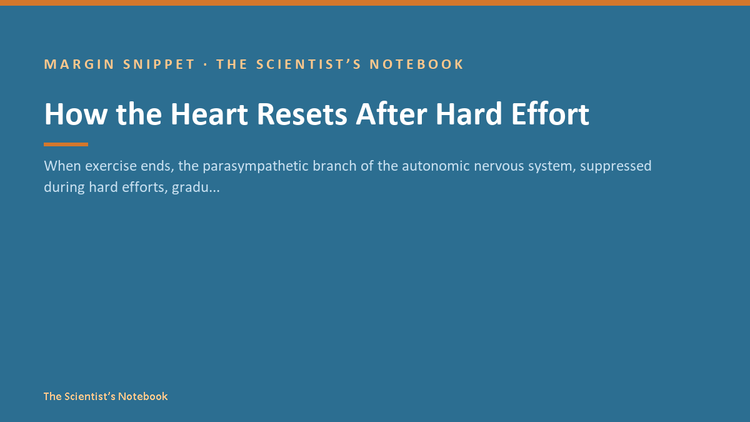Snippet #029: How the Heart Resets After Hard Effort