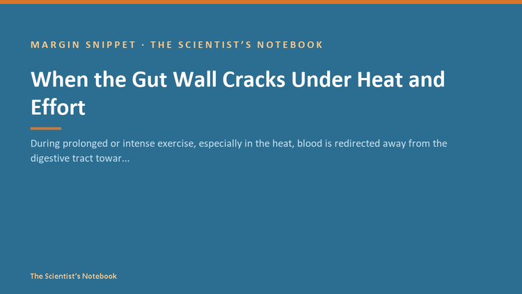 Snippet #036: When the Gut Wall Cracks Under Heat and Effort