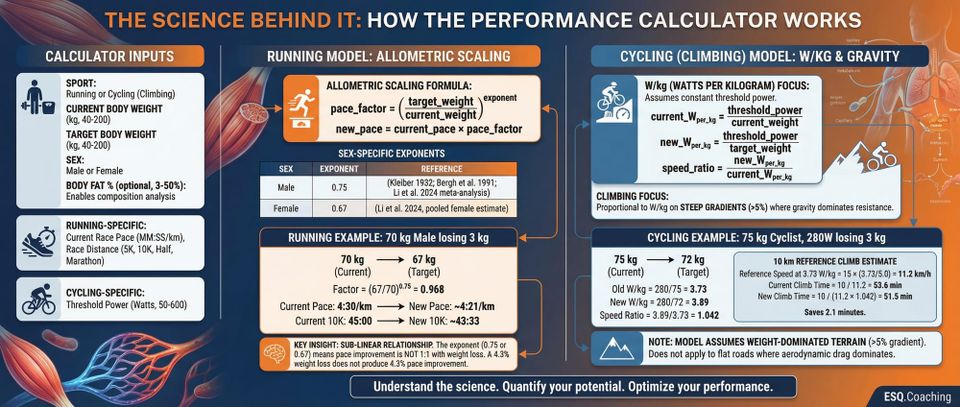 Weight vs Performance Impact