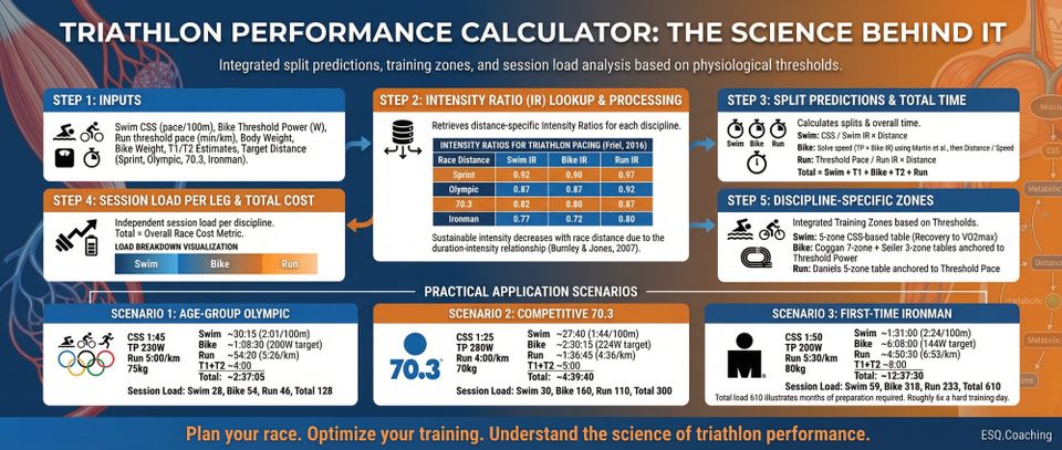 Triathlon Performance Snapshot