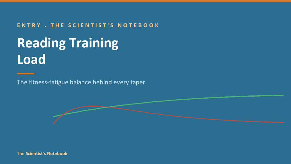 Entry #034: Reading Training Load: The Fitness-Fatigue Balance