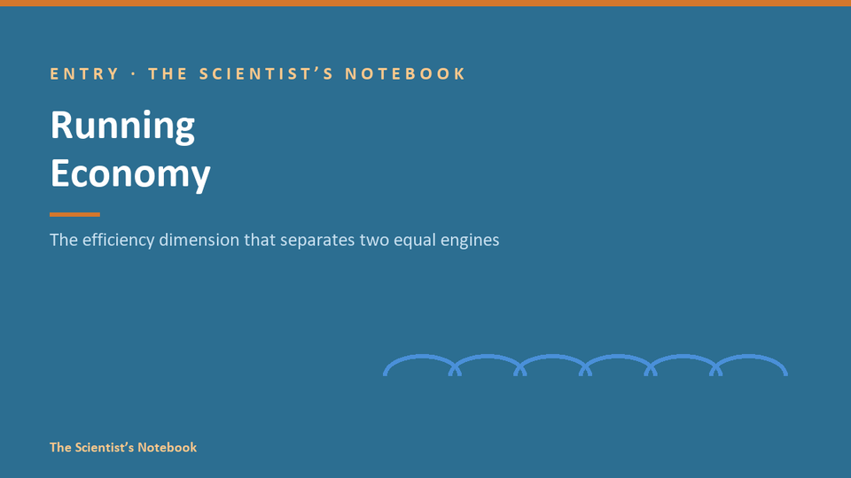 Entry #041: Running Economy: The Efficiency Dimension That Separates Two Equal Engines