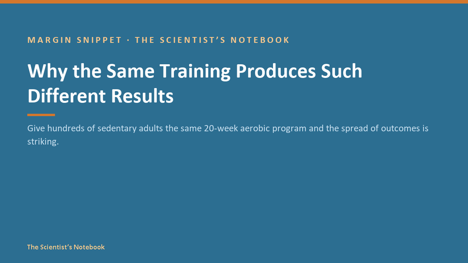 Snippet #040: Why the Same Training Produces Such Different Results
