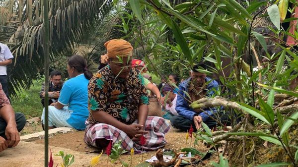 RSPO, 삼성물산의 기름야자 농장 원주민 권리 침해 인정