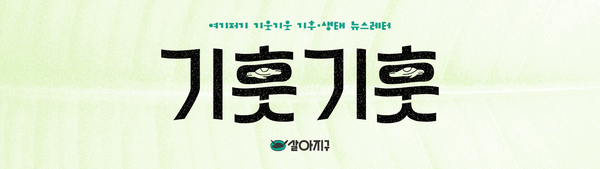 3월 5주차 기훗기훗