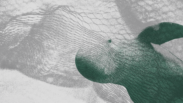 해법은 명확한데 상괭이는 죽어간다