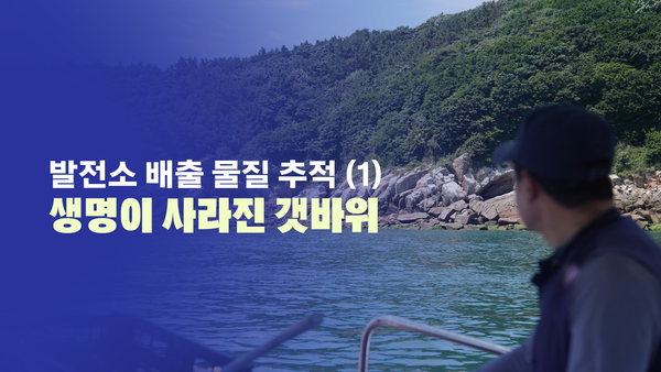 발전소 배출 물질 추적➀ 생명이 사라진 갯바위