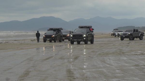 고창군, 모래사장에 트럭 150대...전문가 "누가 봐도 훼손"