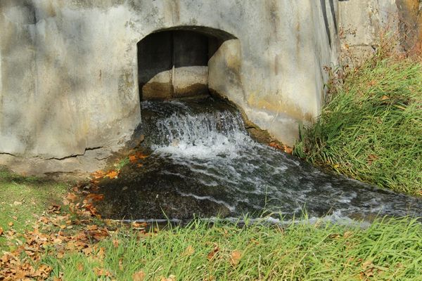 산업 폐수에서 '환경호르몬' 다량 검출, 배출기준조차 없어