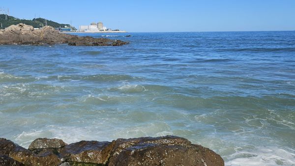 온배수 재판에 제출된 '기이한 수온 데이터', 한수원에게만 유리했다