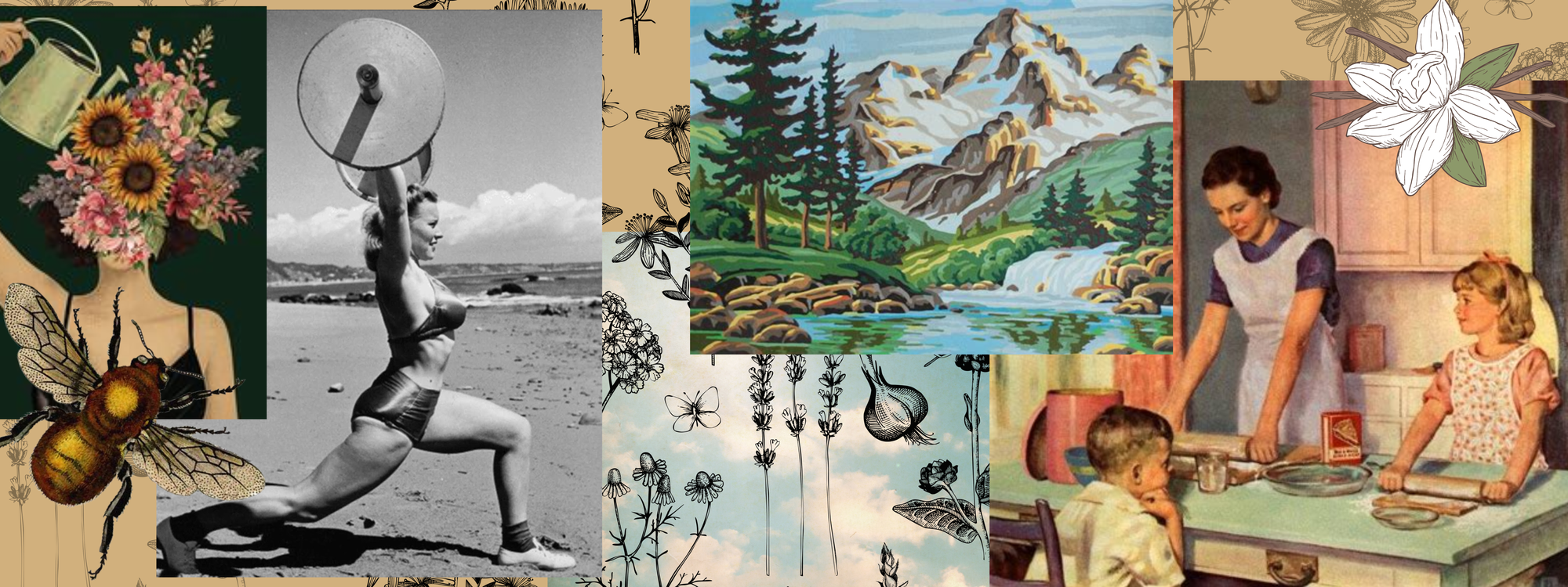 Introductions Are In Order