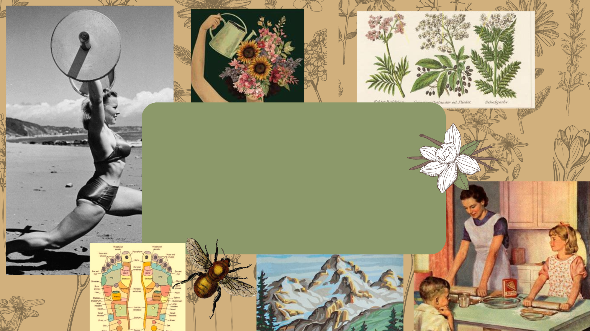 The Whole Health Blog