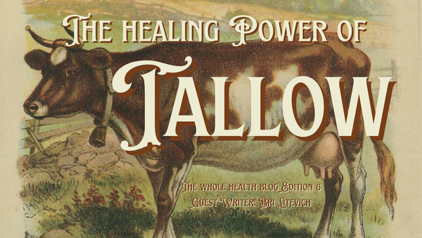 The Healing Power of Tallow
