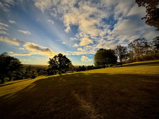 The afternoon sun sets across a park in Armidale, NSW