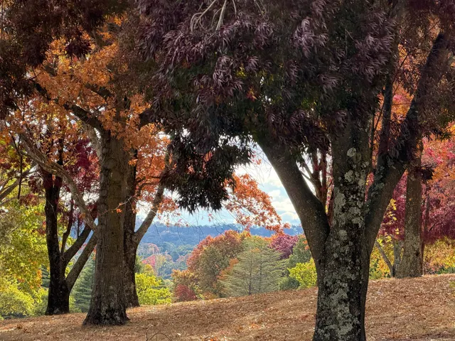 Autumn turns the New England into a rich kaleidoscope of colours