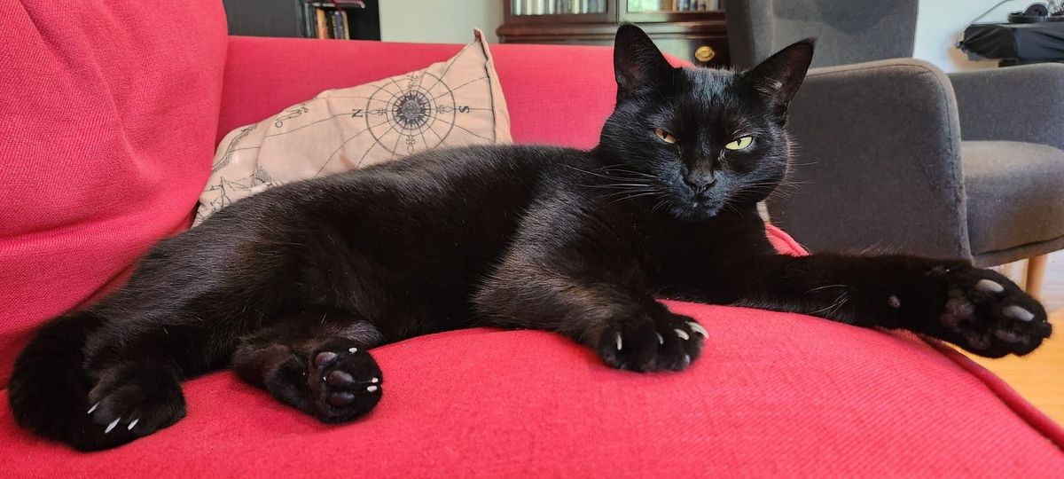 Notes on awards eligibility in 2024