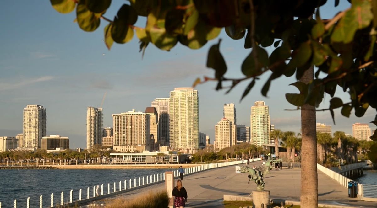 Snell Isle Waterfront Homes: What to Know Before You Buy