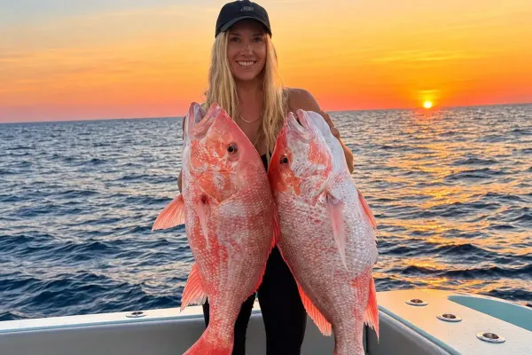 Red snapper at sunset in the Gulf off St. Pete