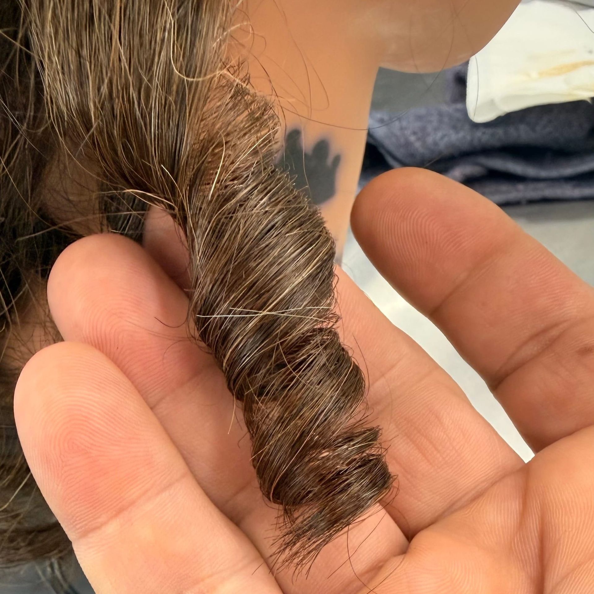From Head to Hands