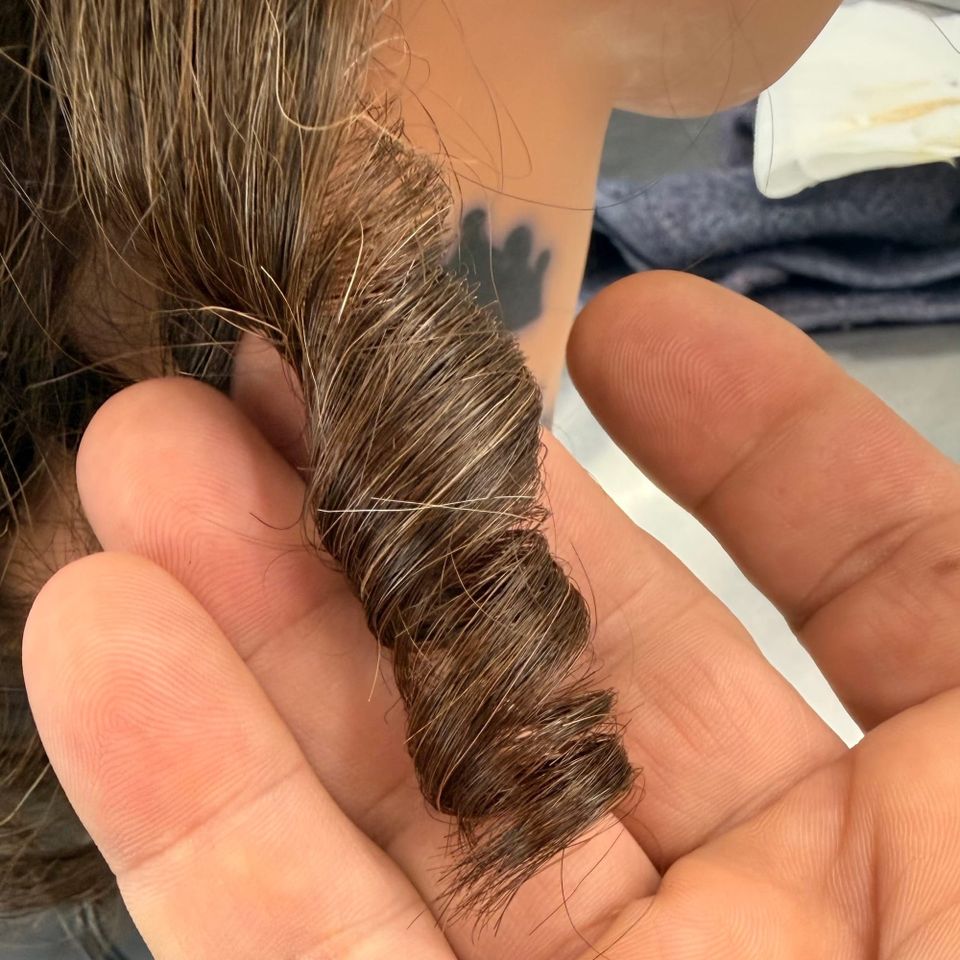 From Head to Hands