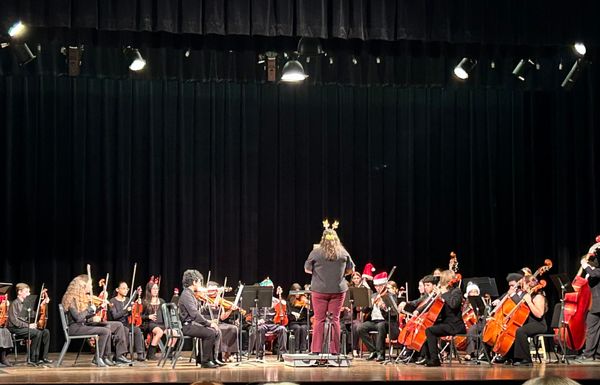 Exploring the Unknown Facets of Orchestra