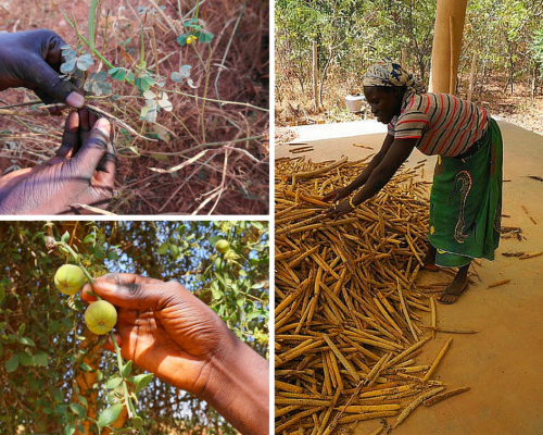 burkina2