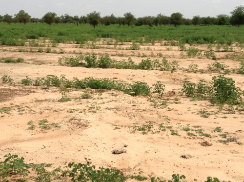 burkina4