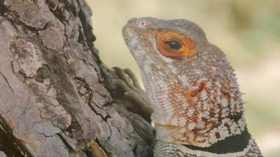 Wir besuchen Madagaskar