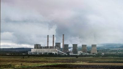 Wie neutralisiert Ecosia seine CO2 Emissionen?
