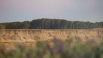 #CiaoRWE - Dein Zeichen für den Hambacher Forst!