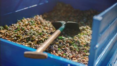 Millennials auf dem Land: die neue Generation von Bauern