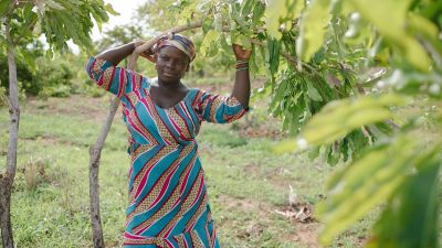 Warum wir Obst- und Nussbäume an einem Fluss in Ghana pflanzen: Makadas Geschichte