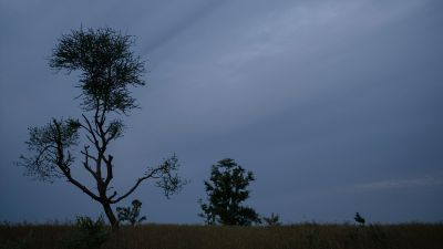 Die Lieblings-dokumentarfilme des Ecosia-Teams